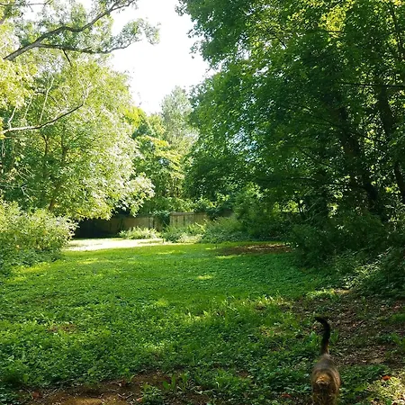 Maison d'hôtes Propriété Les Ruisseaux Seine-Port
